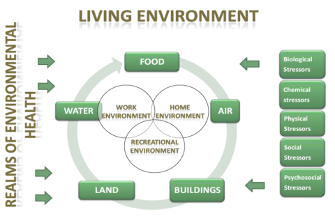 environmental health dissertation